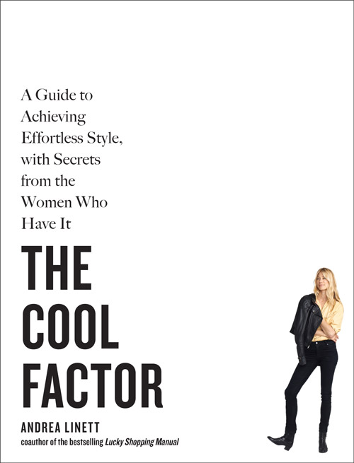 COVER-The-Cool-Factor-STROKED